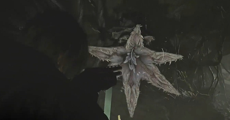 《惡靈古堡安魂曲》全43號植物幼苗位置介紹 《惡靈古堡安魂曲》全43號植物幼苗位置介紹