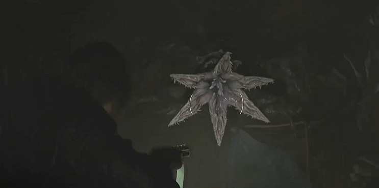 《惡靈古堡安魂曲》全43號植物幼苗位置介紹 《惡靈古堡安魂曲》全43號植物幼苗位置介紹