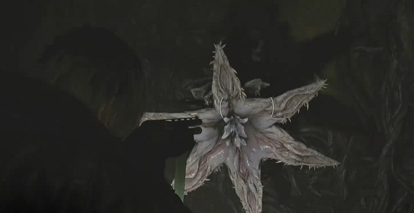 《惡靈古堡安魂曲》全43號植物幼苗位置介紹 《惡靈古堡安魂曲》全43號植物幼苗位置介紹