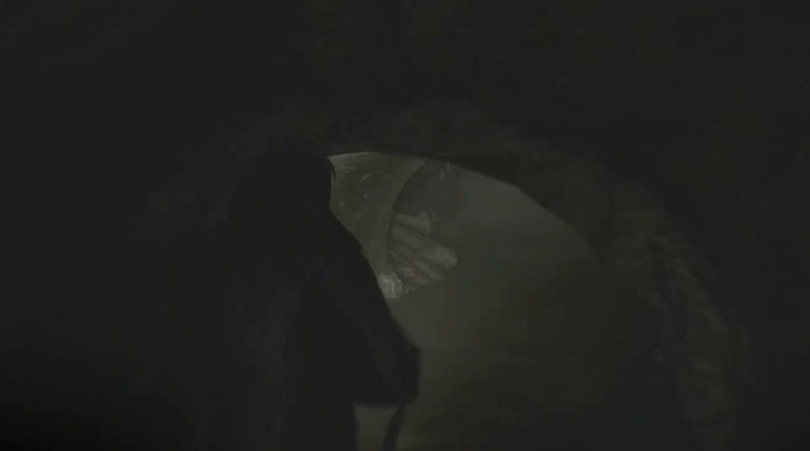 《惡靈古堡安魂曲》全43號植物幼苗位置介紹 《惡靈古堡安魂曲》全43號植物幼苗位置介紹