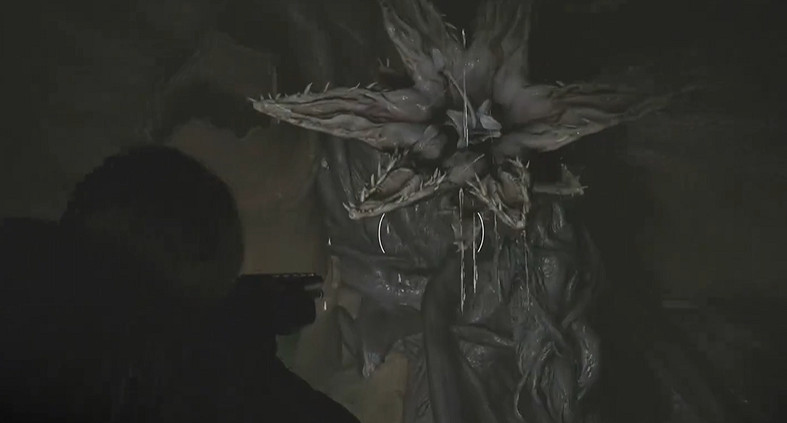 《惡靈古堡安魂曲》全43號植物幼苗位置介紹 《惡靈古堡安魂曲》全43號植物幼苗位置介紹