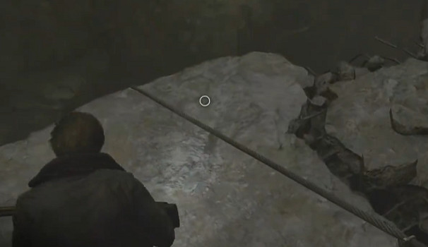 《惡靈古堡安魂曲》全43號植物幼苗位置介紹