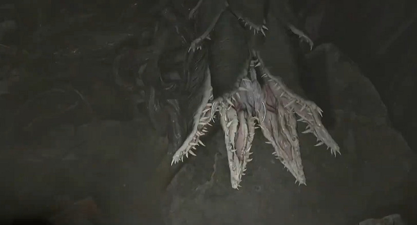 《惡靈古堡安魂曲》全43號植物幼苗位置介紹 《惡靈古堡安魂曲》全43號植物幼苗位置介紹