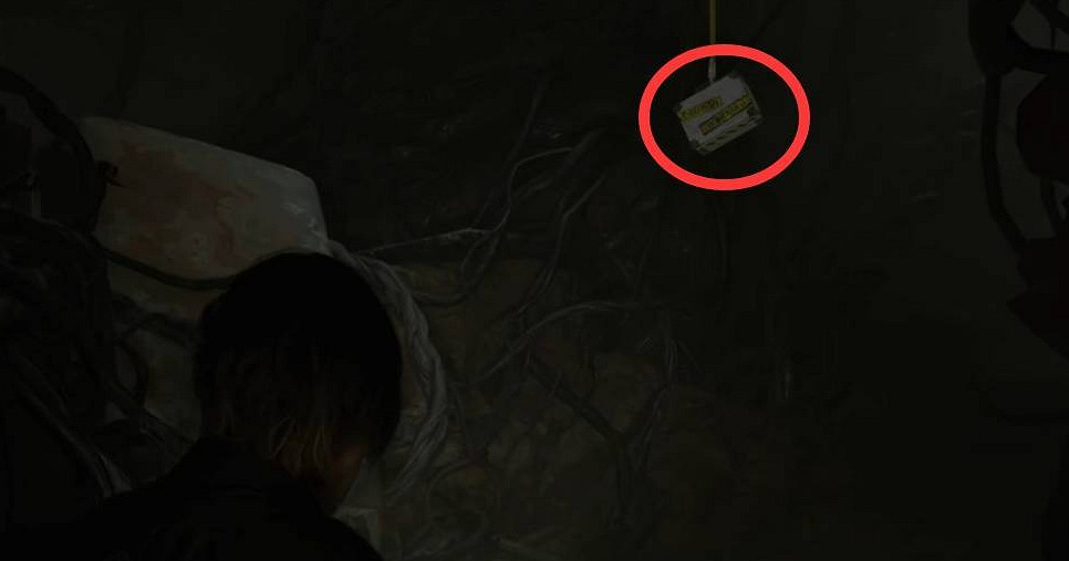 《惡靈古堡安魂曲》43號植物高效打法 《惡靈古堡安魂曲》43號植物高效打法