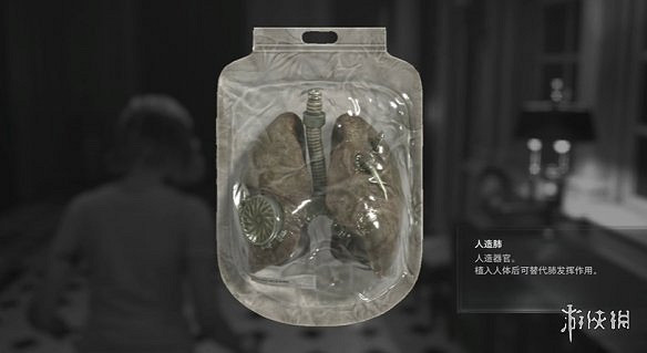 《惡靈古堡安魂曲》肺位置介紹 《惡靈古堡安魂曲》肺位置介紹