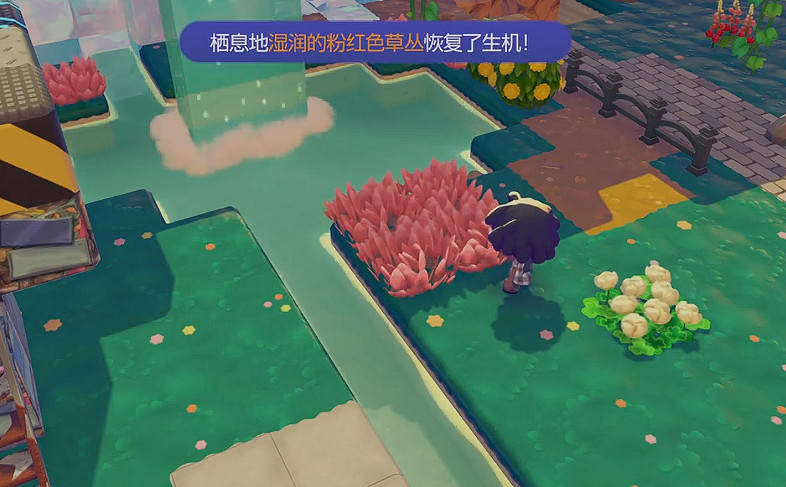 《寶可夢Pokopia》濕潤的粉紅色草叢棲息處解鎖方式