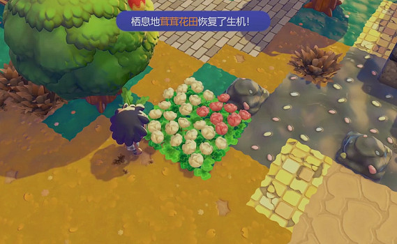 《寶可夢Pokopia》茸茸花田棲息處解鎖方式