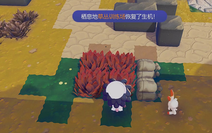 《寶可夢Pokopia》草叢訓練場棲息處解鎖方式