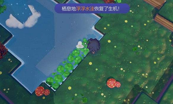 《寶可夢Pokopia》浮浮水窪棲息處解鎖方式