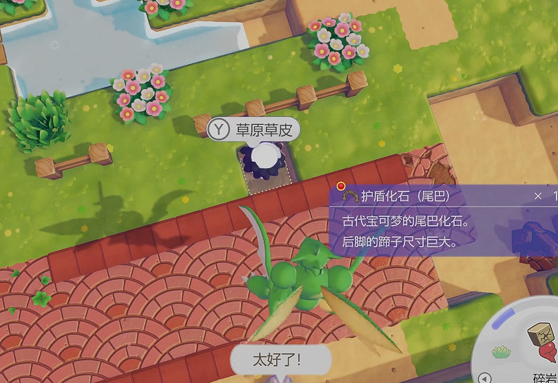 《寶可夢Pokopia》護盾化石獲得方式 《寶可夢Pokopia》護盾化石獲得方式