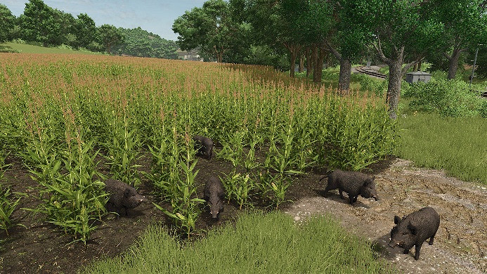 《Farming Simulator 25》最新付費資料片“VREDO Pack”發布！