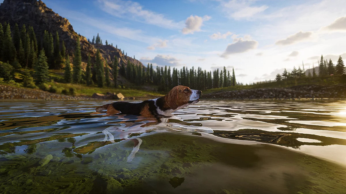 狩獵模擬新作《獵人之路2》已登陸Steam開啟搶先體驗 狩獵模擬新作《獵人之路2》已登陸Steam開啟搶先體驗