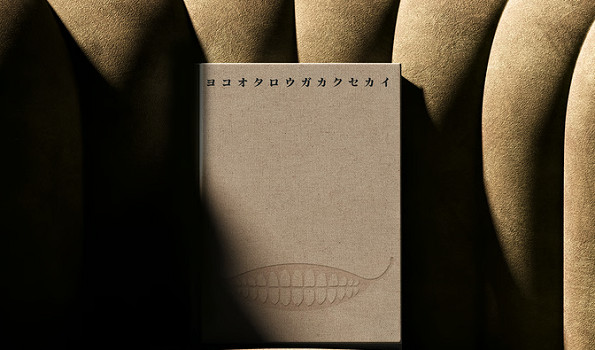 橫尾太郎新書《橫尾太郎書寫的世界》現已開啟眾籌！