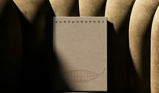 橫尾太郎新書《橫尾太郎書寫的世界》現已開啟眾籌! 橫尾太郎新書《橫尾太郎書寫的世界》現已開啟眾籌!