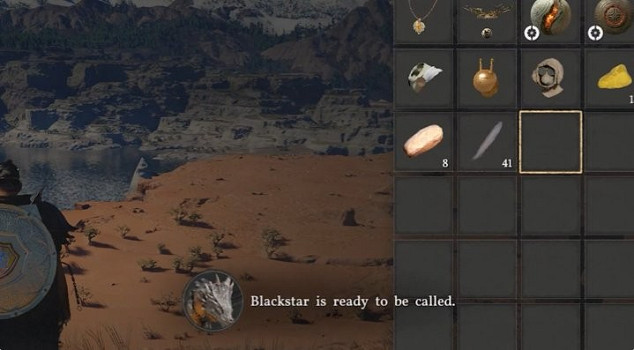 玩家發現《紅色沙漠》可以使用道具消除騎龍冷卻時間