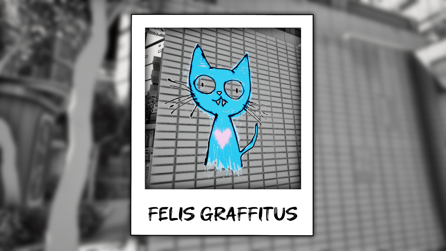 拍照找貓，溫馨治愈遊戲《這有貓膩》公開全新試玩Demo