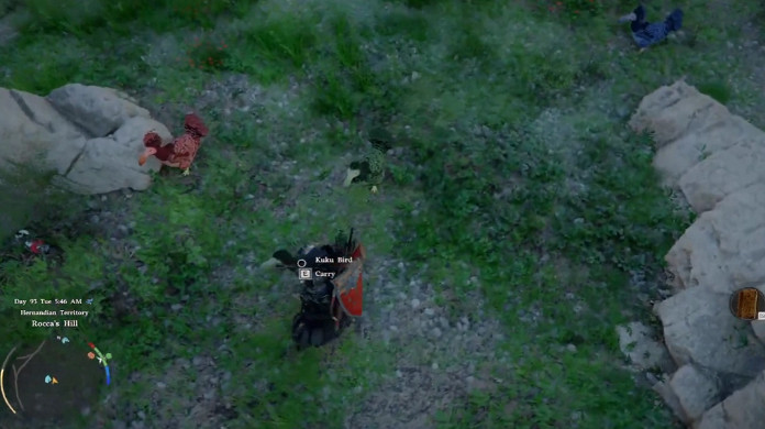 《紅色沙漠》終局無怪可打怎麽辦?可以去刷渡渡鳥! 《紅色沙漠》終局無怪可打怎麽辦?可以去刷渡渡鳥!