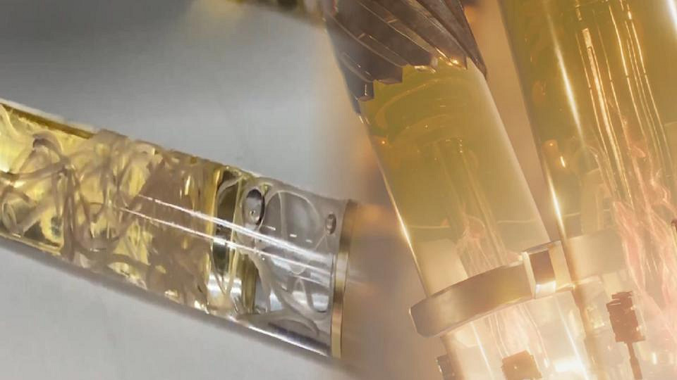 《惡靈古堡9》現實版 日本水產店推“寄生蟲筆”爆紅 《惡靈古堡9》現實版 日本水產店推“寄生蟲筆”爆紅