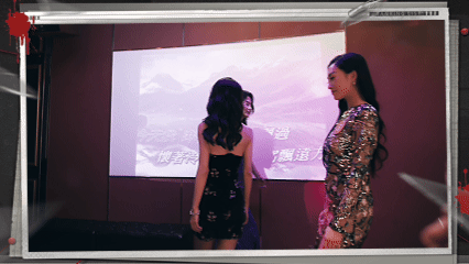 查收你的新老婆 《對不起，我是警察》三大港風女神