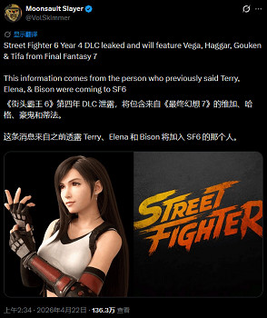 時隔30年再登格鬥遊戲！曝蒂法將加入《快打旋風6》