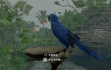 《赤血沙漠》紫藍金剛鸚鵡馴服攻略