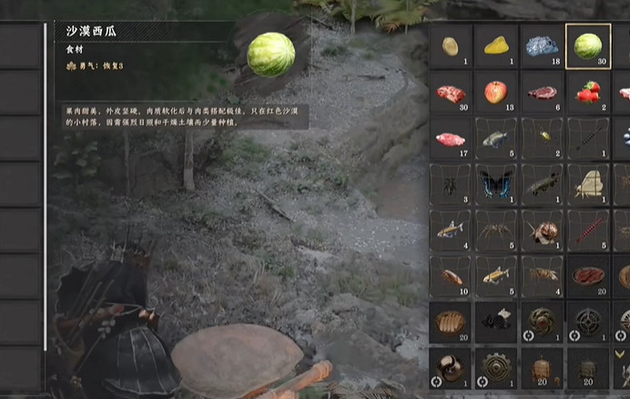 《赤血沙漠》紫藍金剛鸚鵡馴服攻略