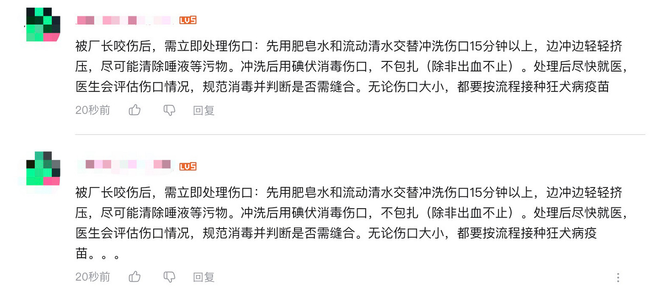 一條彈幕暴露真相？敖廠長回歸爭議不斷，跟風網暴何時停